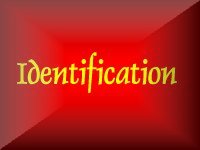 Rifle Identification