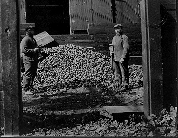 WW1 Grenade pile